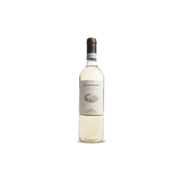 Santa Cristina Campogrande Orvieto Classico