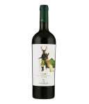 Viticcio Bolgheri DOC