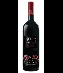 Bric Amel Nebbiolo Langhe Rosso