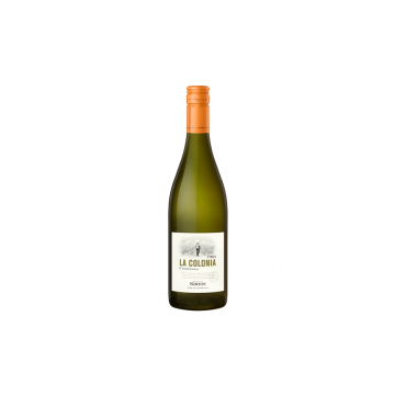 Norton Finca La Colonia Chardonnay
