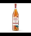 Living Souls 15Y Blended Whisky Batch #2