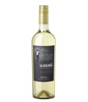 Norton Finca la Colonia Coleccion Sauvignon Blanc