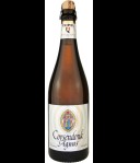 Corsendonk Agnus