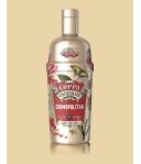 Coppa Cocktails Cosmopolitan