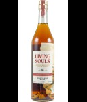 Living Souls Ninety-Nine & One 16Y Error#2