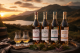 f42d0e52-ff93-4684-8a86-546490cd1b6f.png