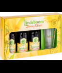 Lindeboom Zonnig Blond Geschenkverpakking