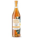 Living Souls Port Dundas 35 Years Old