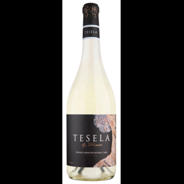 Tesela by Clunia Albillo