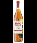 Living Souls Glen Garioch 19 Years Old