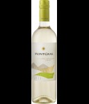 MontGras Estate Sauvignon Blanc