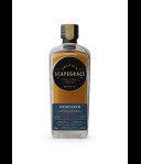 Scapegrace Vanguard
