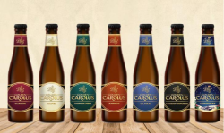 62574-55980-Nieuwe Gouden Carolus uitstraling.png