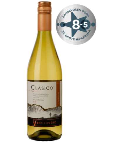 Fles Ventisquero Clásico Chardonnay, wijn op voorraad bij slijterij t Bockje in Bathmen