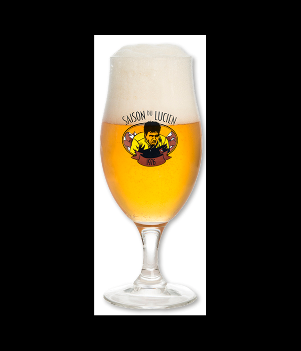 Saison Du Lucien Bierglas Op Voet bij t Bockje in Bathmen