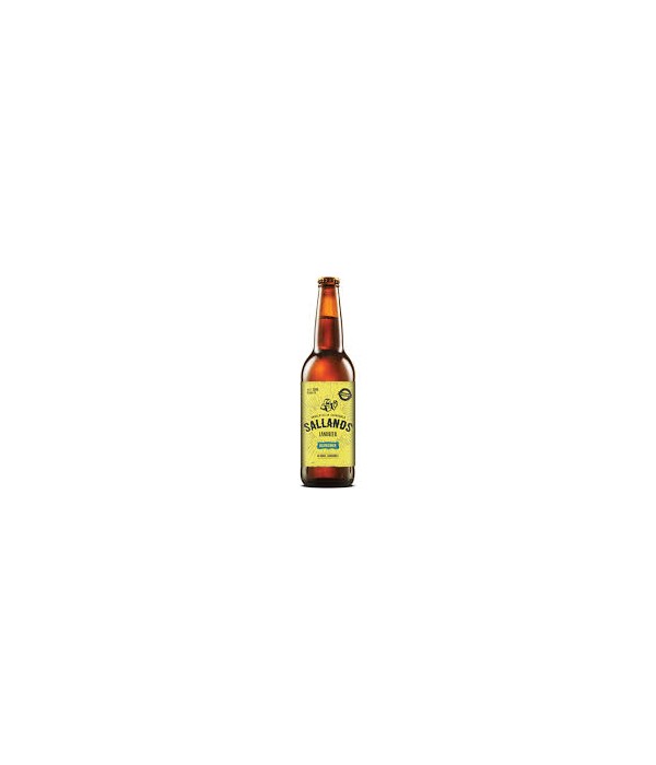 Sallands Landbier blond bij t Bockje in Bathmen