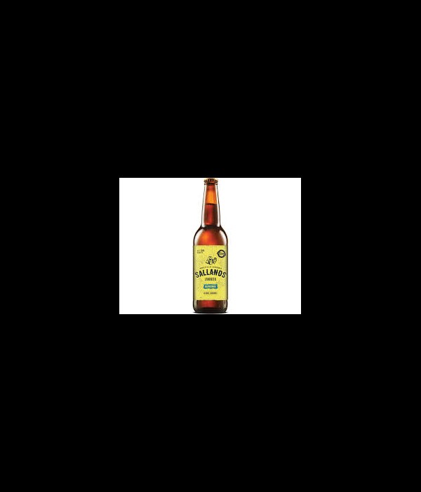 Sallands Landbier blond bij t Bockje in Bathmen