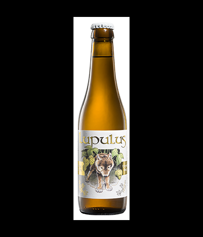 Lupulus Tripel, bier op voorraad bij slijterij t Bockje in Bathmen