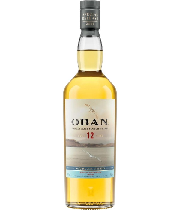 Oban 12Y Heart of the Harbour Diageo Special Releases bij t Bockje in Bathmen