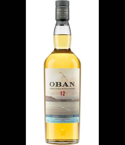 Fles Oban 12 Years Old Heart of the Harbour, Schotse Highland single malt uit Oban, op voorraad bij slijterij t Bockje in Bathmen