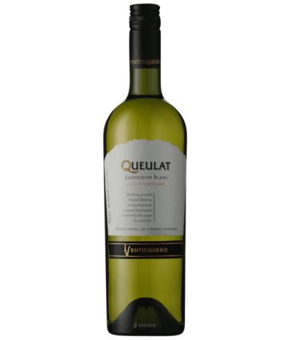 Fles Ventisquero Queulat Sauvignon Blanc, wijn op voorraad bij slijterij t Bockje in Bathmen