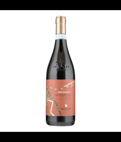 Fles Sartori Valpolicella Classico Montegradella, wijn op voorraad bij slijterij t Bockje in Bathmen