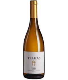 Flasche Terra d' Alter Telhas Branco
