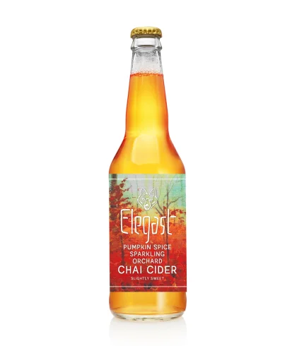 Fles Elegast Pumpkin Spice Chai Cider, bier van Elegast, bij slijterij t Bockje in Bathmen