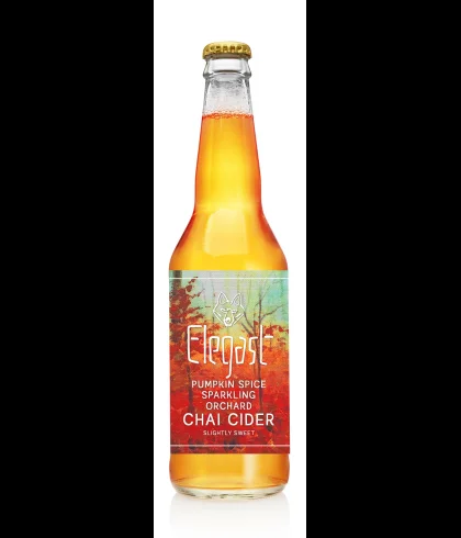 Fles Elegast Pumpkin Spice Chai Cider, bier van Elegast, bij slijterij t Bockje in Bathmen