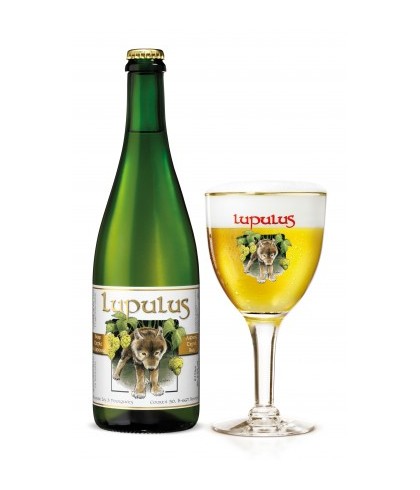 Lupulus Tripel, bier op voorraad bij slijterij t Bockje in Bathmen