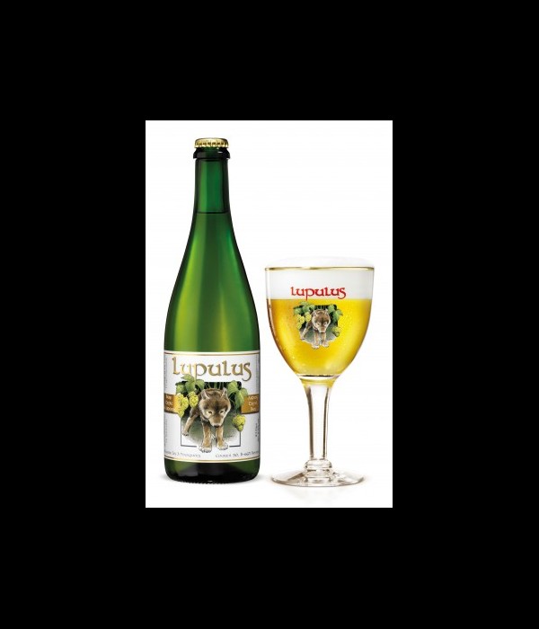 Lupulus Tripel bij t Bockje in Bathmen