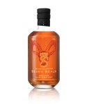 Seven Seals The Age of Capricorn