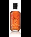 Seven Seals The Age of Capricorn