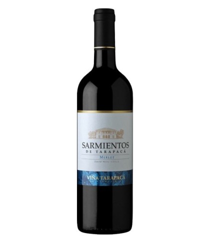 Fles Tarapacá Sarmientos de Naltahua Merlot, wijn op voorraad bij slijterij t Bockje in Bathmen