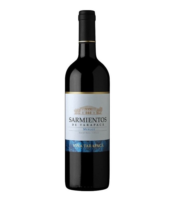 Tarapacá Sarmientos de Naltahua Merlot, wijn bij t Bockje in Bathmen