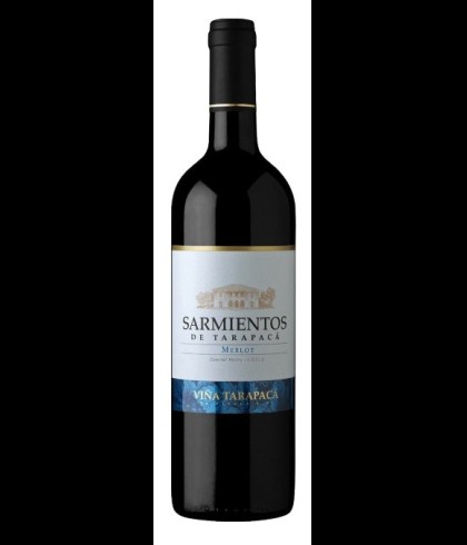 Fles Tarapacá Sarmientos de Naltahua Merlot, wijn op voorraad bij slijterij t Bockje in Bathmen