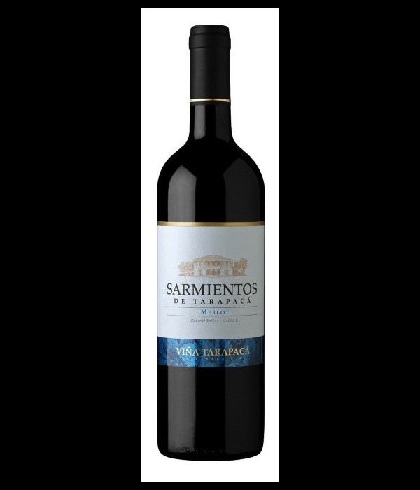 Tarapacá Sarmientos de Naltahua Merlot, wijn bij t Bockje in Bathmen