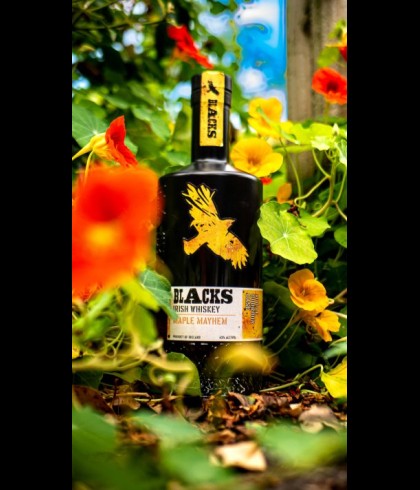 Fles Blacks Maple Mayhem Whiskey, whisky, op voorraad bij slijterij t Bockje in Bathmen
