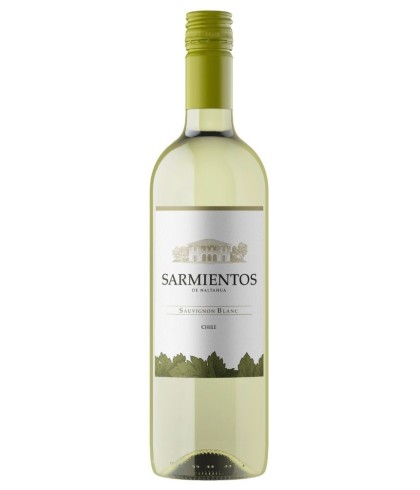 Fles Tarapacá Sarmientos de Naltahua Sauvignon Blanc, wijn op voorraad bij slijterij t Bockje in Bathmen