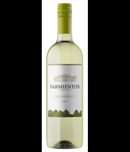 Fles Tarapacá Sarmientos de Naltahua Sauvignon Blanc, wijn op voorraad bij slijterij t Bockje in Bathmen
