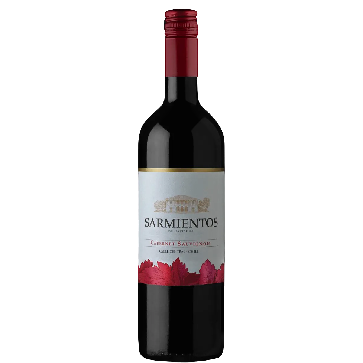 Fles Tarapacá Sarmientos de Naltahua Cabernet Sauvignon, wijn, op voorraad bij slijterij t Bockje in Bathmen