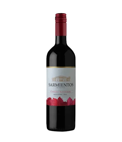 Fles Tarapacá Sarmientos de Naltahua Cabernet Sauvignon, wijn, op voorraad bij slijterij t Bockje in Bathmen