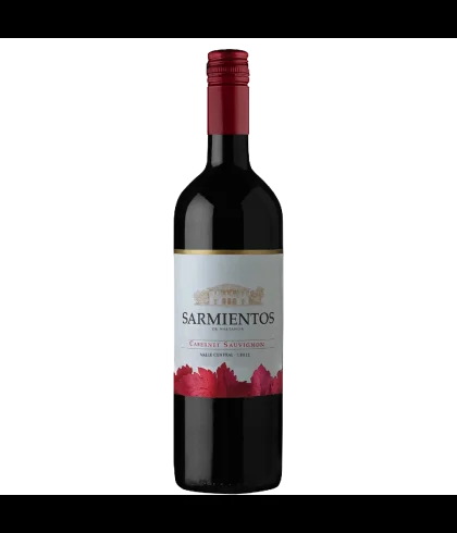 Fles Tarapacá Sarmientos de Naltahua Cabernet Sauvignon, wijn, op voorraad bij slijterij t Bockje in Bathmen
