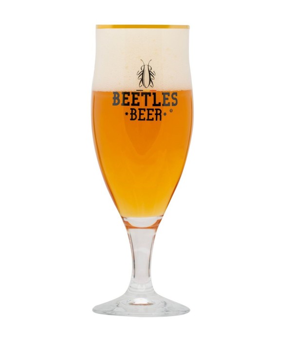 Beetles Beer Glas bij t Bockje in Bathmen