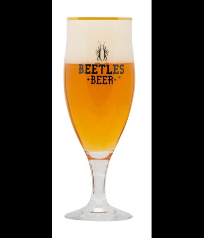 Beetles Beer Glas, glas bij t Bockje in Bathmen