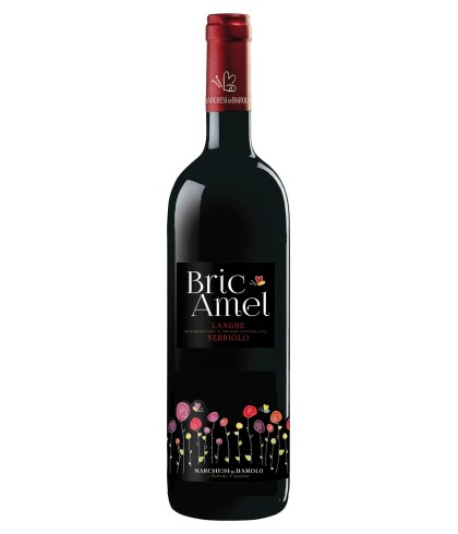 Fles Bric Amel Nebbiolo Langhe Rosso, wijn op voorraad bij slijterij t Bockje in Bathmen