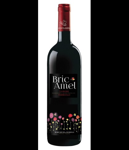 Fles Bric Amel Nebbiolo Langhe Rosso, wijn op voorraad bij slijterij t Bockje in Bathmen