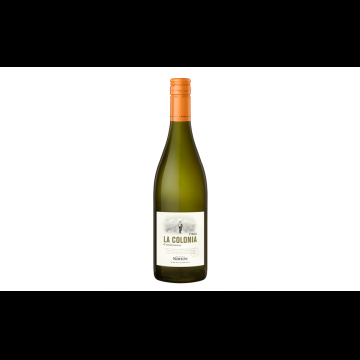 Norton Finca La Colonia Chardonnay