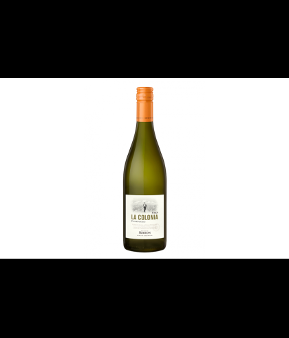 Fles Norton Finca La Colonia Chardonnay, wijn op voorraad bij slijterij t Bockje in Bathmen
