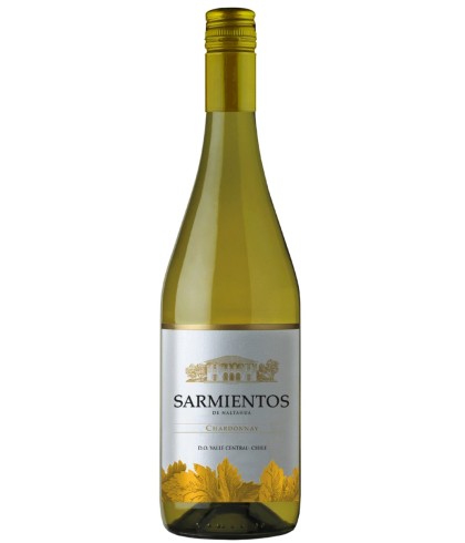 Fles Tarapacá Sarmientos de Naltahua Chardonnay, wijn op voorraad bij slijterij t Bockje in Bathmen